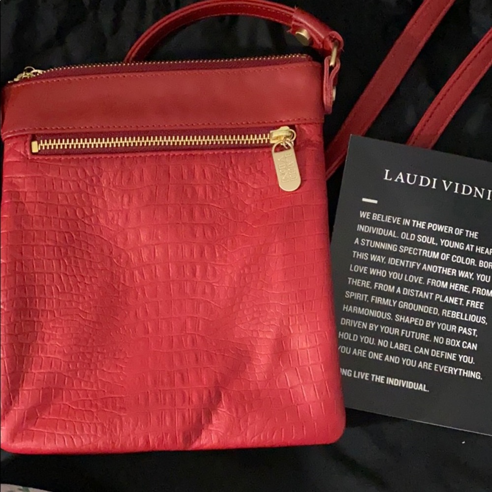 Laudi Vidni leather purse
